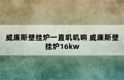 威廉斯壁挂炉一直叽叽响 威廉斯壁挂炉16kw